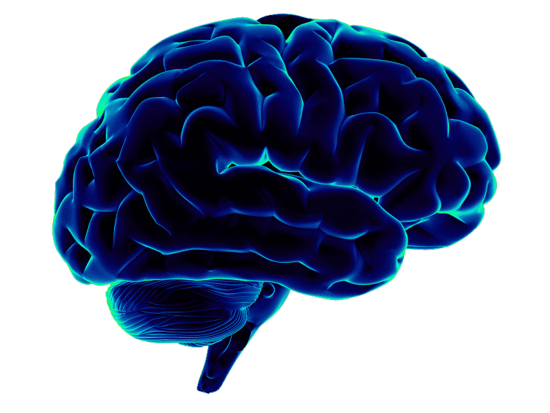 Best Neurosciences in Bardhaman